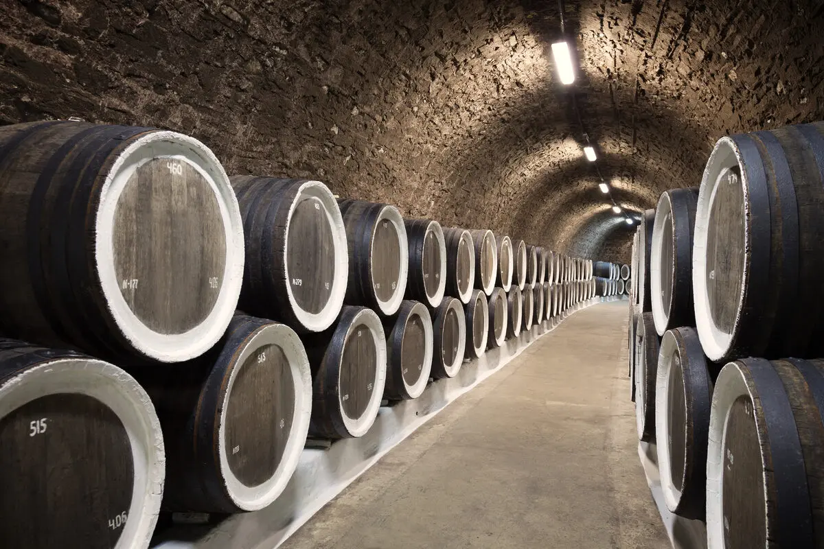 Mejores bodegas en España